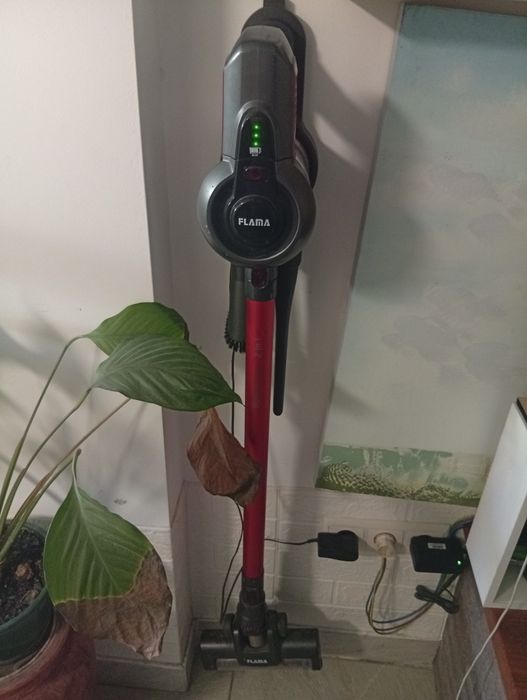 Aspirador vertical Flama