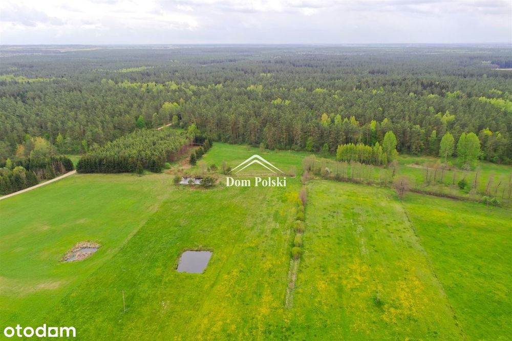 Dom – Wilkasy, powiat olecki - Widok 5