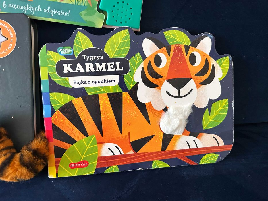 książki książeczki zestaw sensoryczne interaktywne gra świeci dotknij