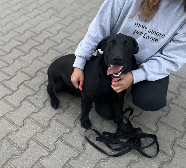 Batman szuka swojego człowieka.