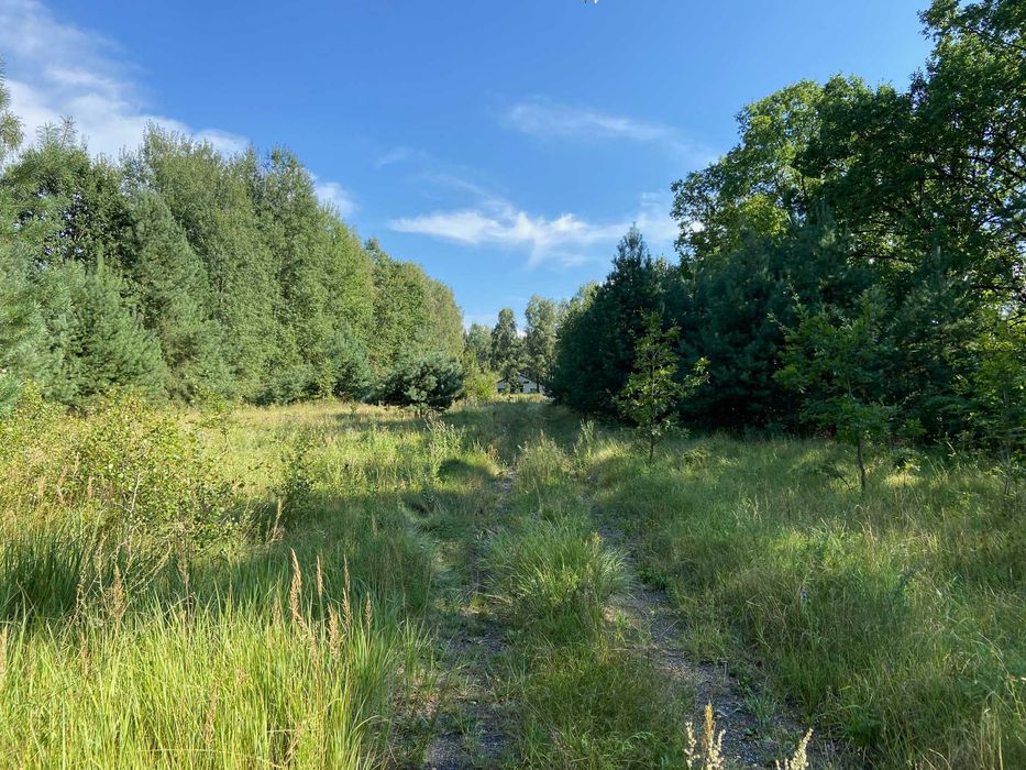 Hala/ Magazyn/ Ferma drobiu 1400 m² działka 2,2 ha. Gospodarstwo rolne - More