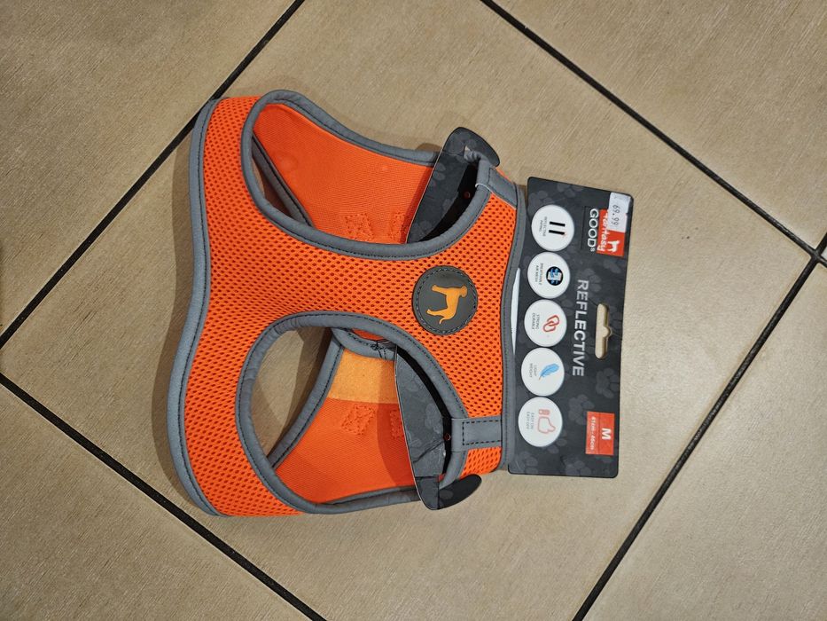 Nowe szelki dla psa.