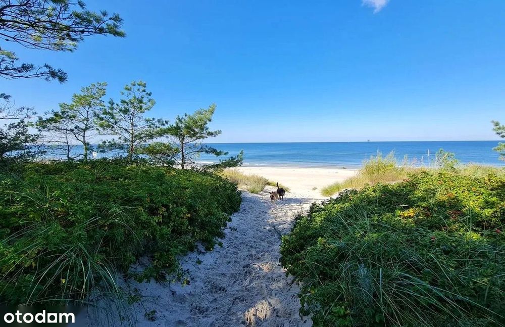 Mrzeżyno | 1200 m² | 500 m od plaży | BŁĘKITNA FLAGA