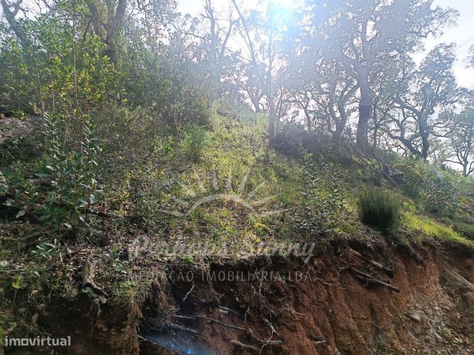 Terreno Rustico São Francisco da Serra