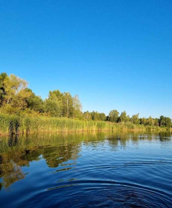 36 соток з виходом на р. Вільшанка біля д/к "Сонячна Поляна"
