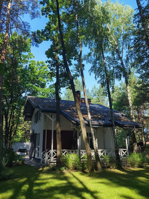 Оренда дім у лісі від власника