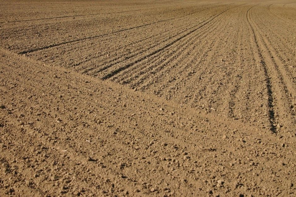 Ziemia rolna orna
