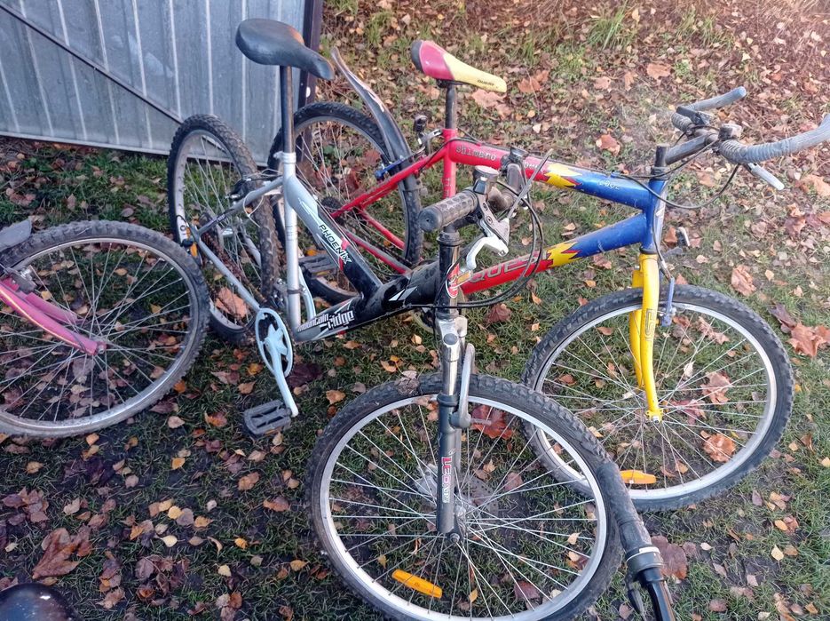 Rowery Kosiarki Karcher Dmuchawa do liści/śniegu Viking z NIEMIEC