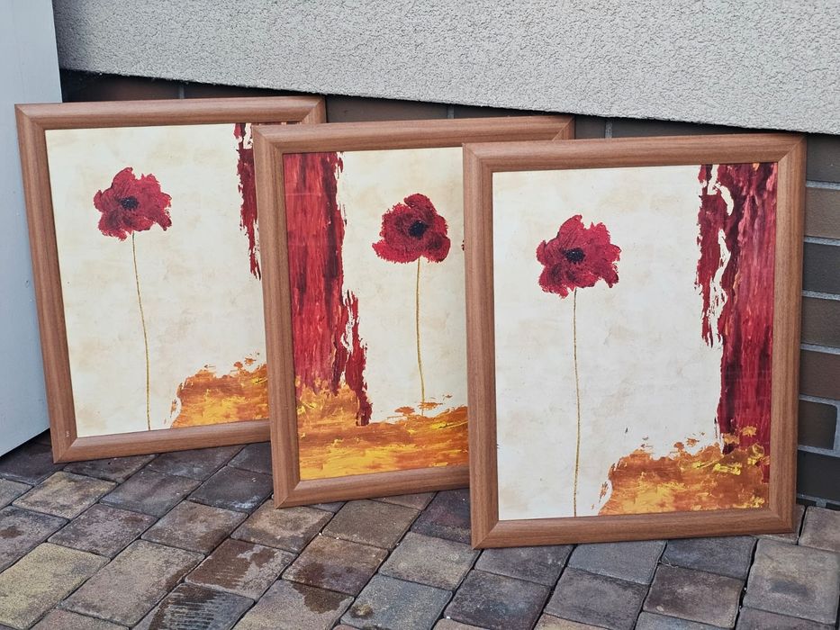 Trzy obrazy w olchowych ramach