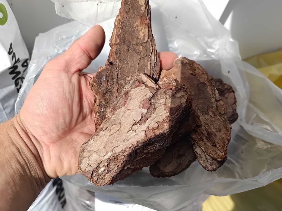 KORA SOSNOWA ZRĘBKI kolorowe zrębka RÓŻNE grubości -frakcje; 50L , 80L