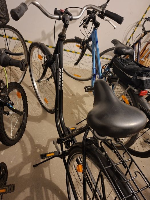 Pegasus Tour Bike Sensation