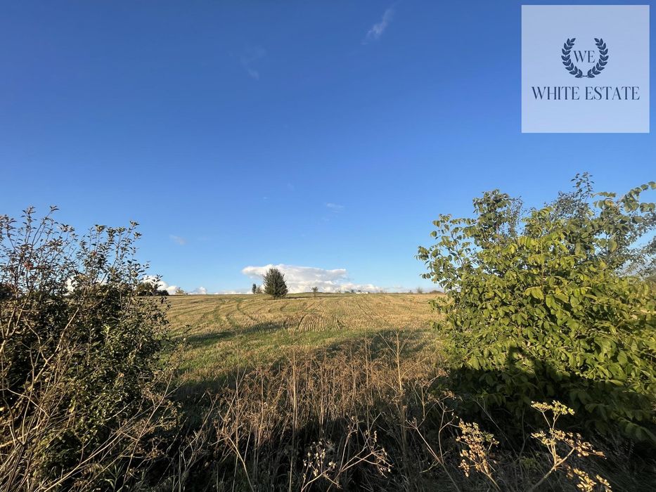 Продаж земельної ділянки Мишковичі.