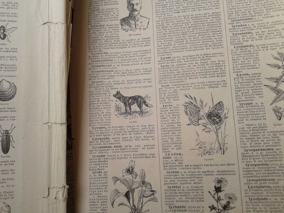 encyklopedia 100 lat