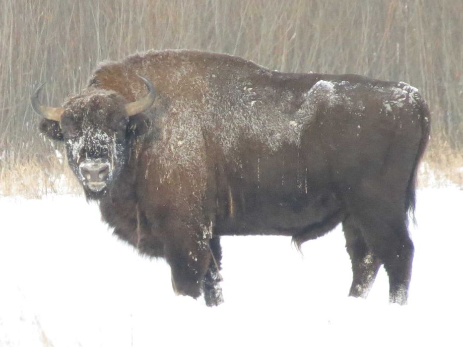 Komfortowy, klimatyzowany dom z placem zabaw,  jacuzzi  ,sauna.