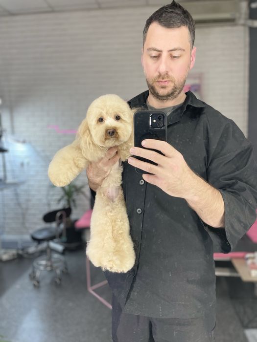 Ваш Грумер на Лівобережній | Стрижка собак | Тримінг | Роллінг | Линьк