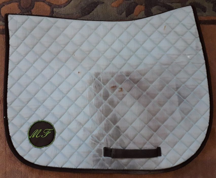 Suadouro azul para cavalo