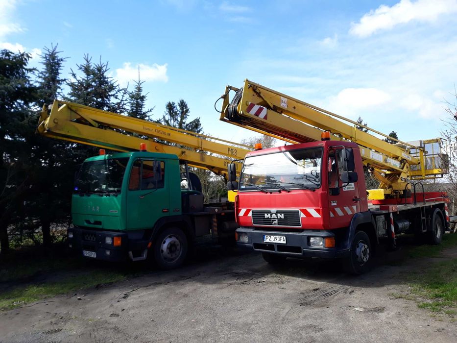Usługi Podnośnikiem Koszowym Wynajem Zwyżka Podnośnik Wycinka Drzew