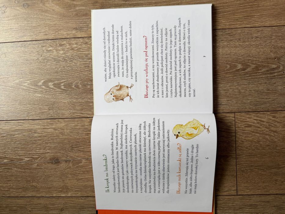 Sprzedam książkę: „Dlaczego oczy kota świecą w nocy?  Dorota Sumińska