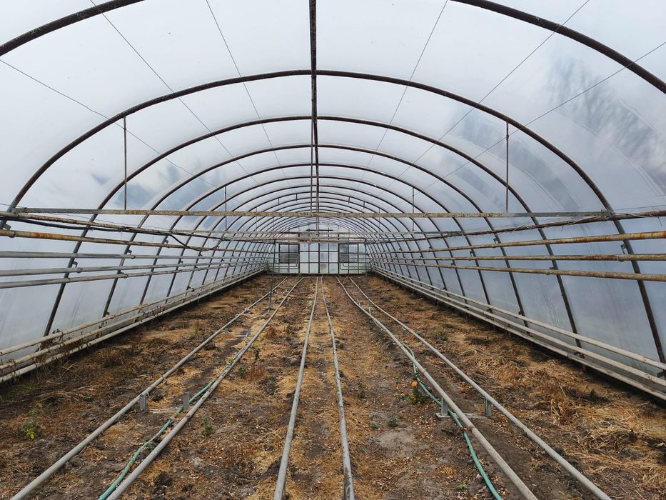 Sprzedam tunele foliowe