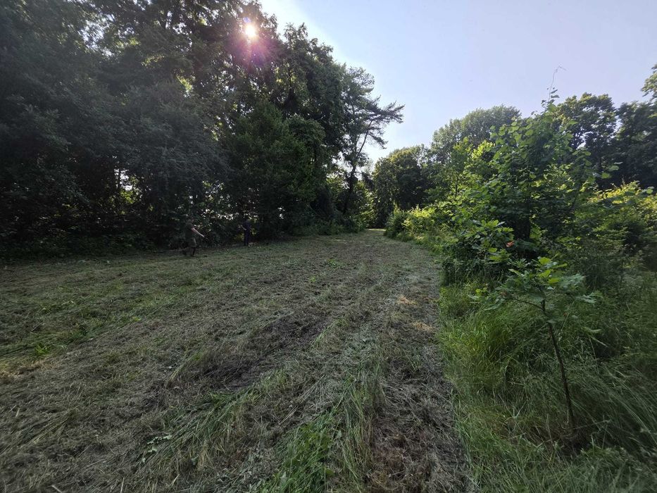 GreenAxe – wycinka drzew i porządkowanie działek