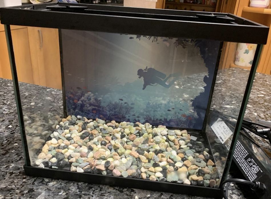 Aquário e acessórios
