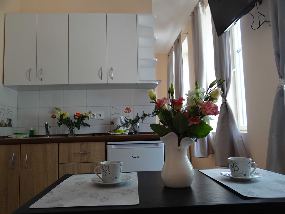 Pokoje z aneksami kuchennymi  - CENTRUM USTRONIA