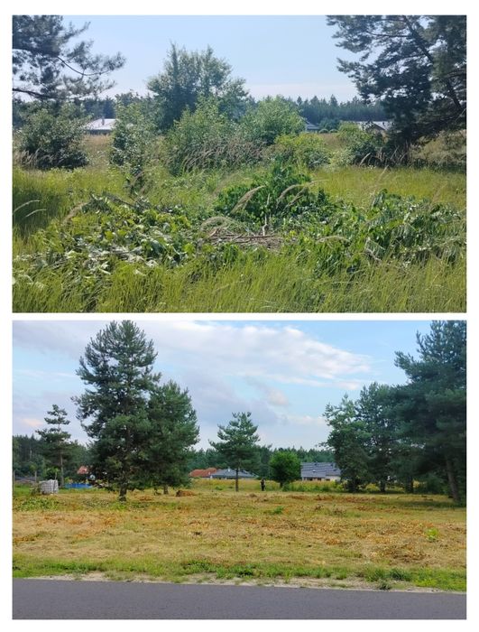 Wycinka drzew, czyszczenie działek, pracę na wysokości, pilarz, drwal,