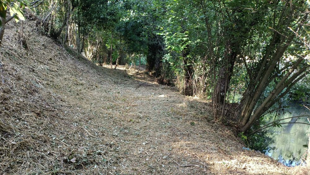 Terreno com PIP aprovado