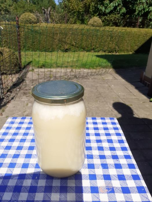 Sprzedam Miód Wielokwiatowy