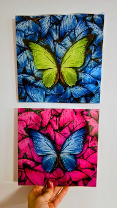 Szklane Obrazy 20x20 - 2 sztuki motyle