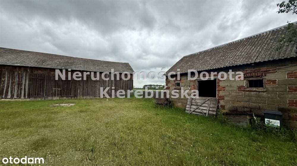 Zdjęcie 8