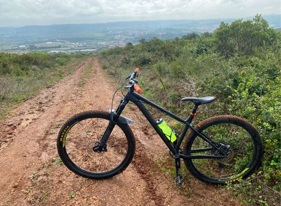 NS Bikes eccentric alu Evo