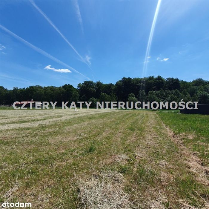 Sąsiedztwo lasu!
