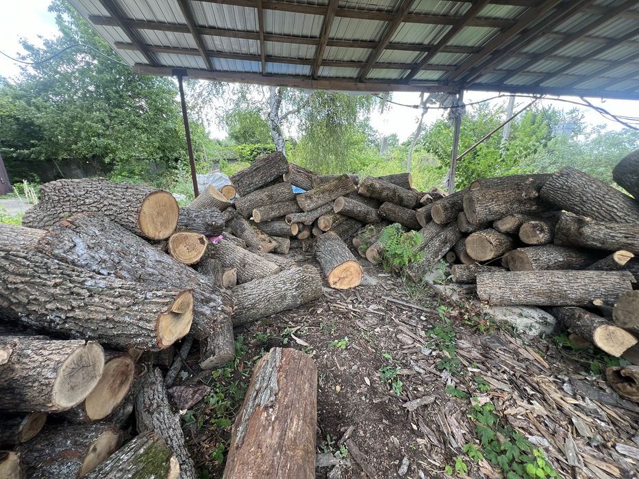 Продам дрова різні породи