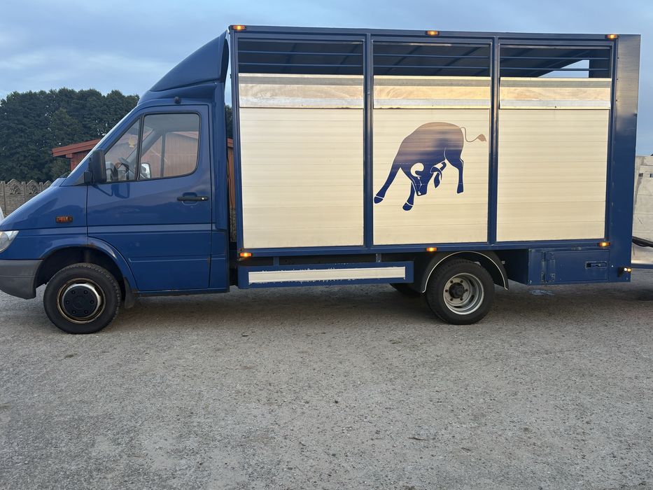 Do żywca bydła zwierząt sprinter