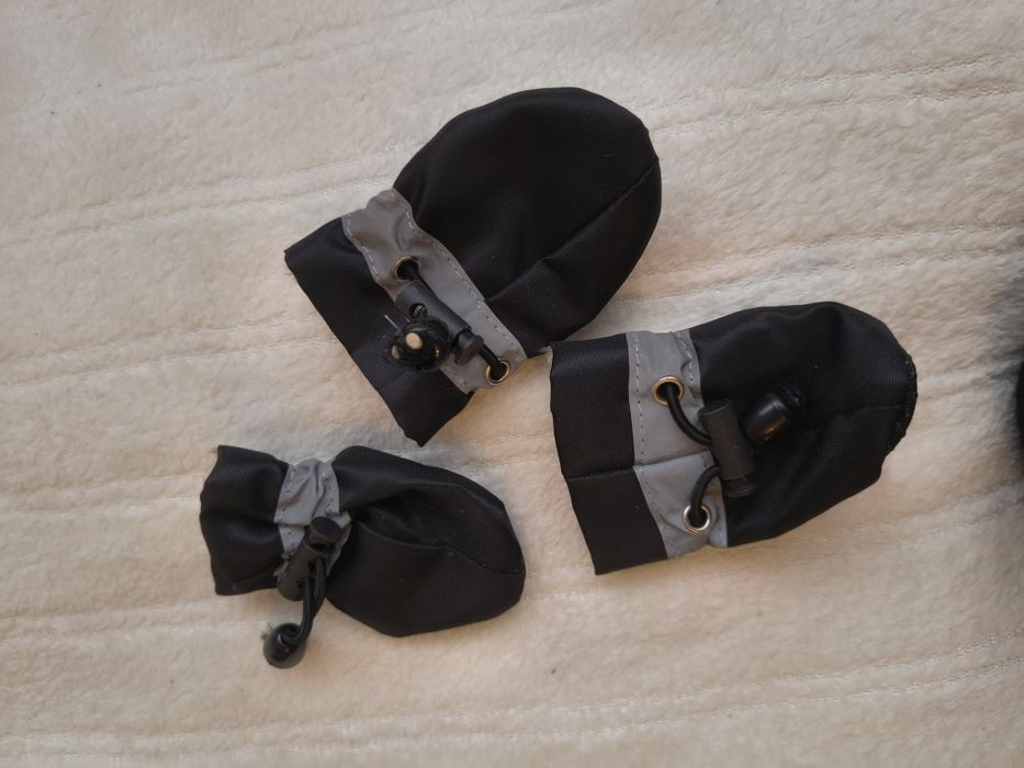 Buty dla psa 3 sztuki