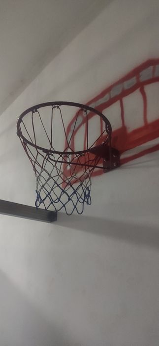 Cesto Basquetebol