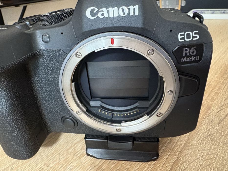 Canon R6 mark ii +rf50 f1.8