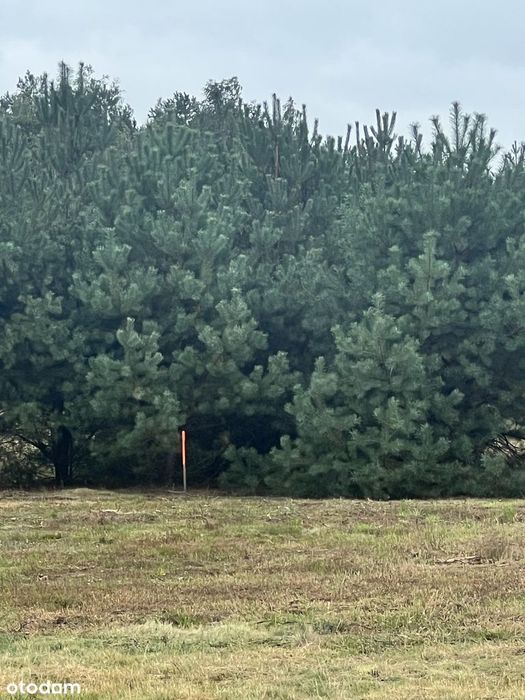 Działka budowlana 3010 m² prąd w drodze