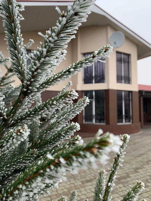 Аренда дома 230м2 4к 20 соток с. Шевченко