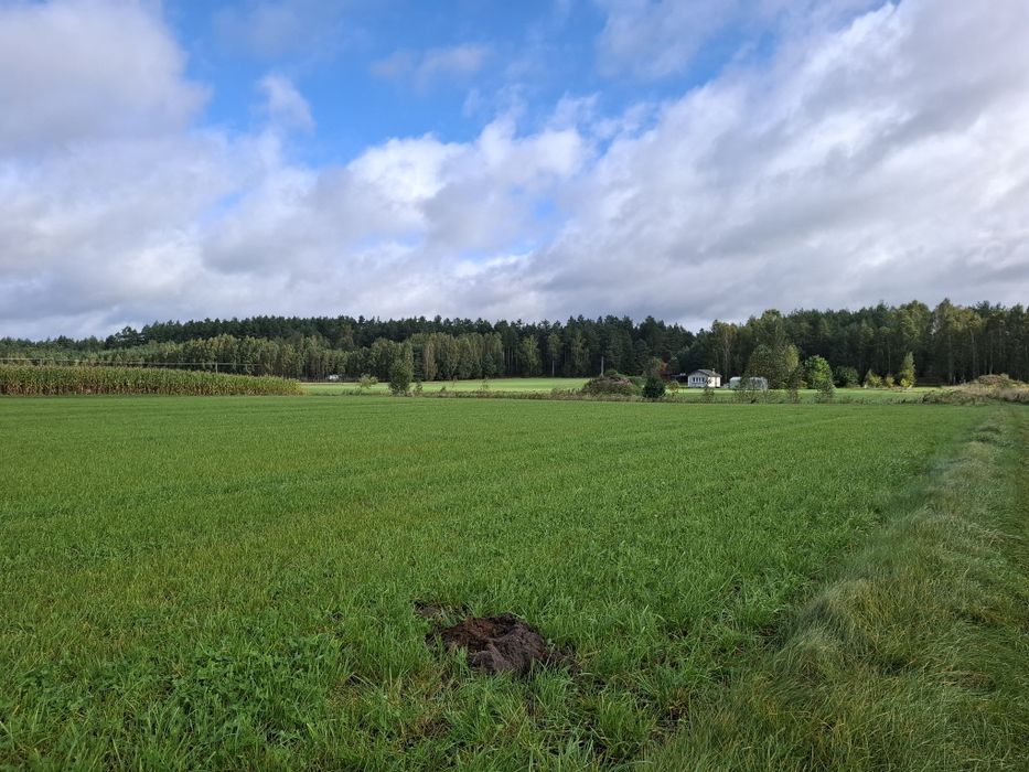 Sprzedam działki budowlane Łążek koło Tlenia Bory Tucholskie