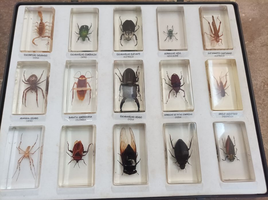 Animais de coleção