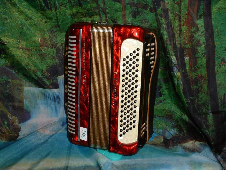 Promoção de Acordeões de concertinas