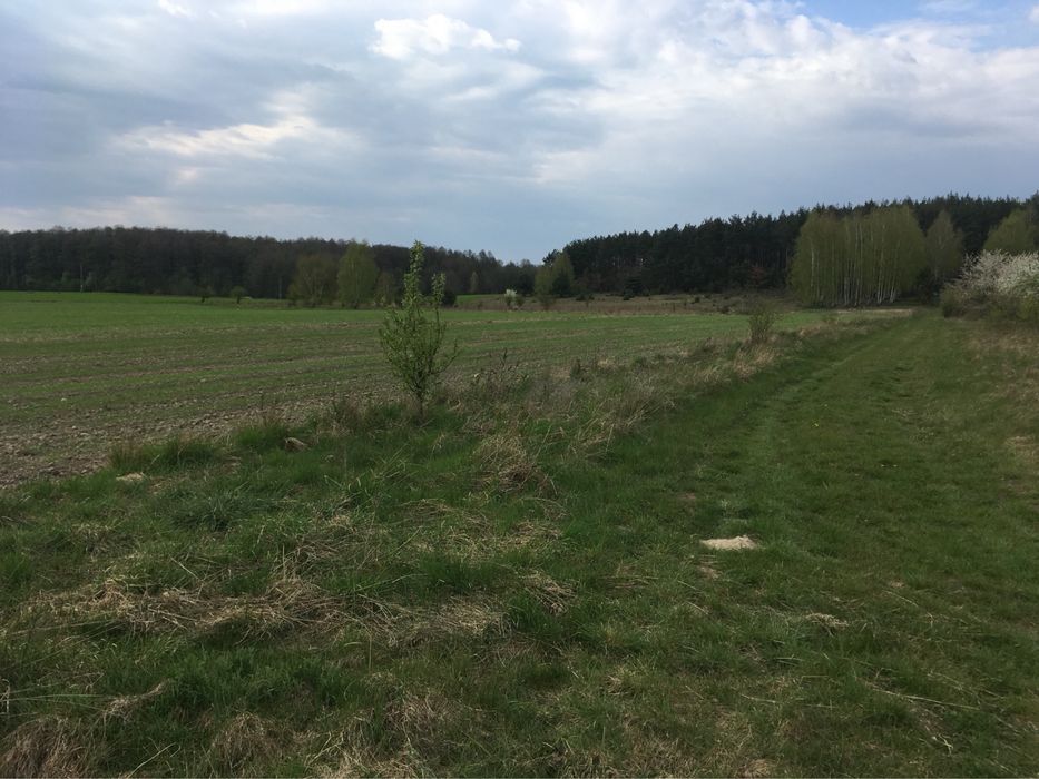 Bratoszewice – działka 11 051 m² | MPZP | las | PKP | blisko A1/A2