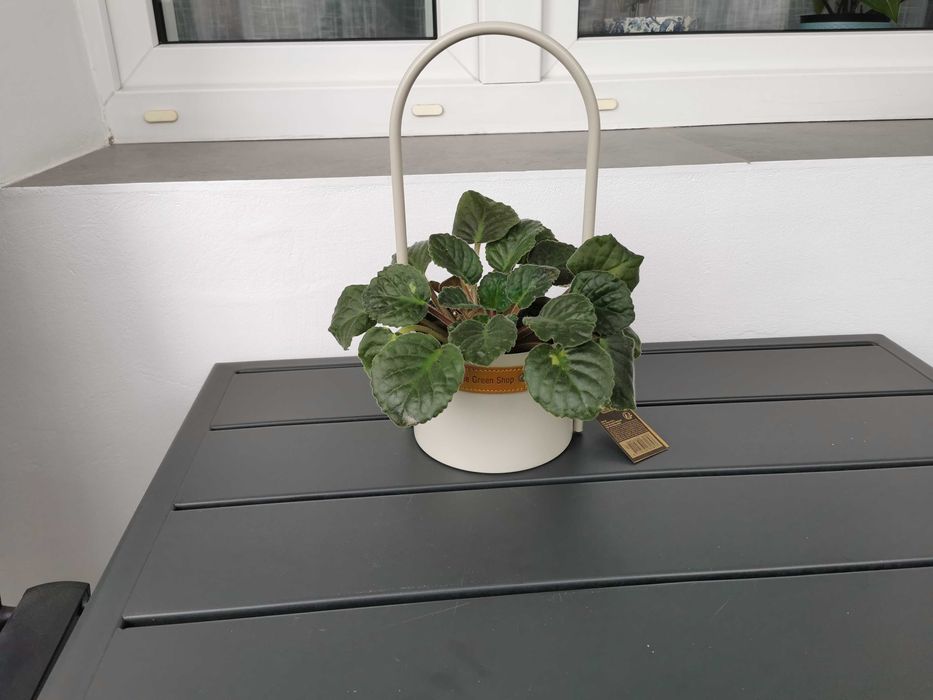 Dla młodzieży dzieci osłonka pojemnik efekt