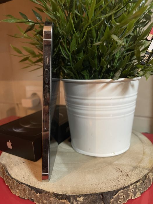 Iphone 12 Pro Max // 128 GB