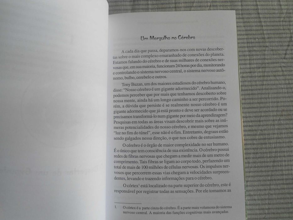 Aprendendo na velocidade do pensamento de Odair José Comin