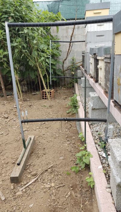 Arpas, sistemas eletricos,cavalo de troia,rainhas Bruckfast,ibericos