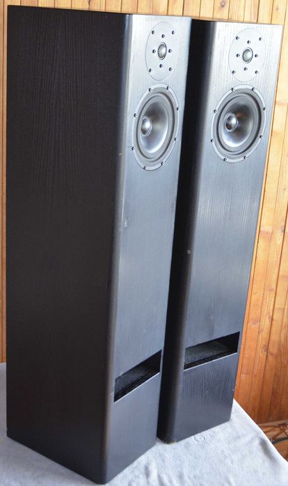 TMR 2a Berlin Bi-Wire Kolumny podłogowe  z lat `80-tych Audiofilskie Dwudrożne