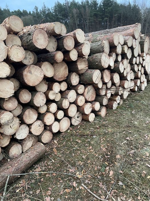 Drewno sosna S2B paletówka